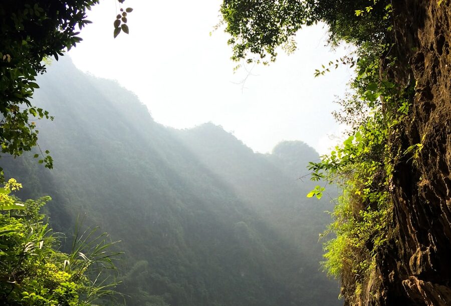 group of people on boat paddling during daytime