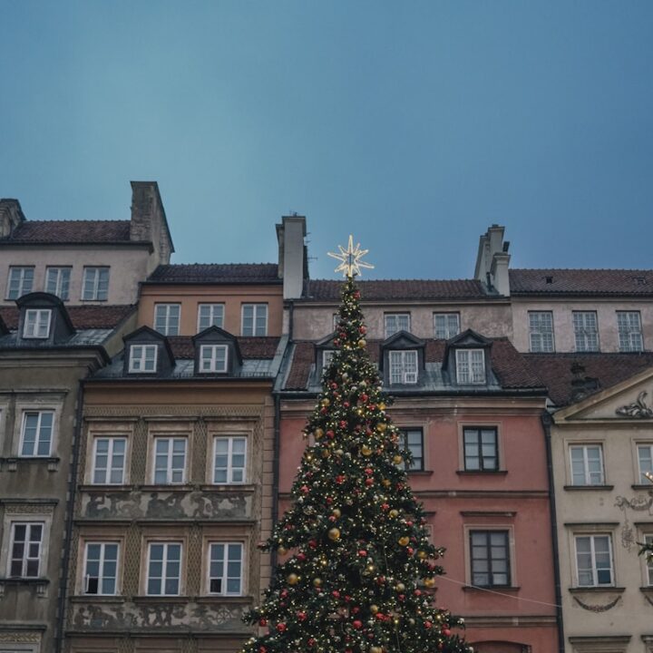 a large christmas tree in front of a building